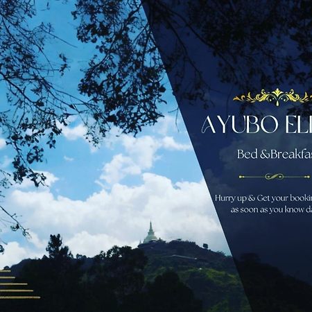 Villa Ayubo Ella Exterior foto